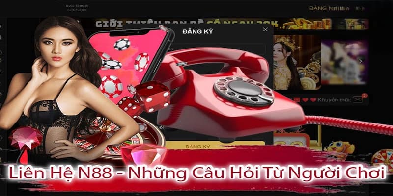 Cam kết hỗ trợ từ hệ thống liên hệ N88